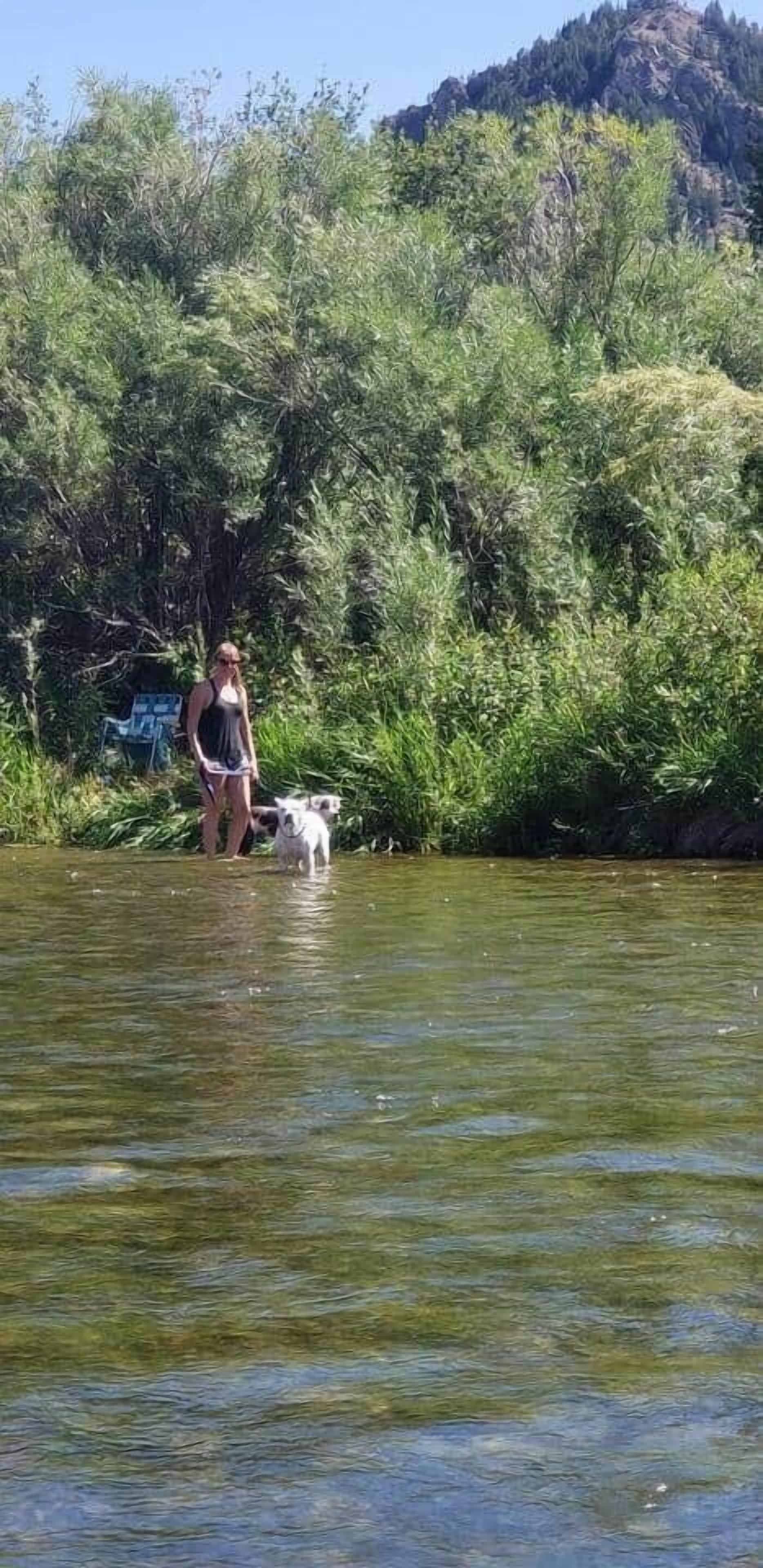 A person standing in a river with a dog, surrounded by dense greenery and a mountain in the background.