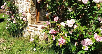 Kleines Romantisches Landhaus mit Terrasse, 4 km vom Strand entfernt