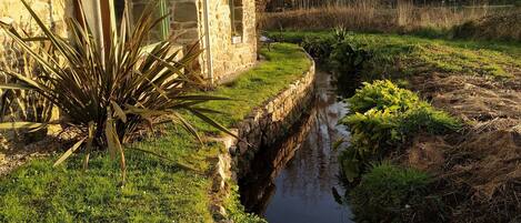 المنطقة المحيطة بالمنشأة