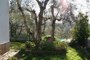 Un jardin agrémenté d’arbres adultes, d’un sentier et d’un petit étang.