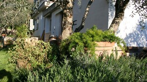 Un jardin avec différentes plantes et arbres se trouve devant un bâtiment à la façade blanche, orné d’une porte.