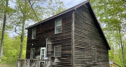 Cozy cabin in the woods