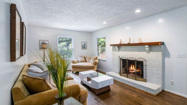 A living room with a fireplace, a sofa, a coffee table, and a plant.
