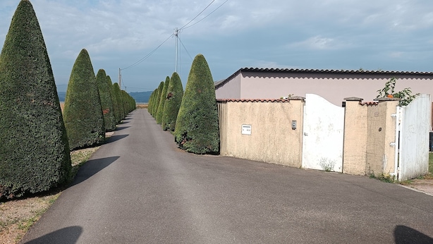 Une route de campagne bordée de haies soigneusement taillées et un bâtiment doté d’un toit en tuiles.