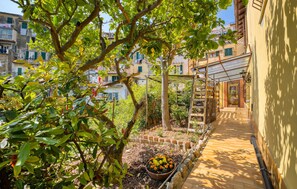 Property grounds - 3 bedroom stunning home in Ventimiglia (Ventimiglia)