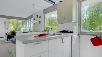 Fridge, stovetop, dishwasher, coffee/tea maker