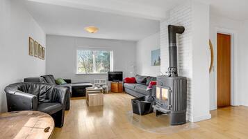 Smart TV, fireplace, stereo