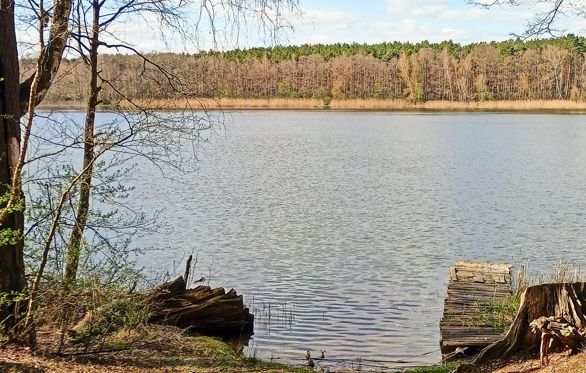 Ein ruhiger See, umgeben von Bäumen und einer hölzernen Pier.