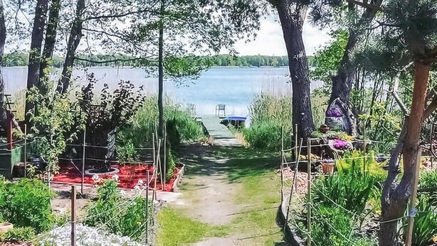 Un sendero en un jardín que conduce a un muelle junto a un lago, rodeado de plantas y árboles.