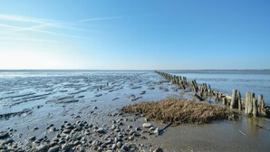 A beach with a wooden jetty extending into the water, pebbles and seaweed on the shore, and a clear blue sky. - 2 bedroom cozy home in Rømø (Rømø)