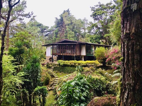 Estancia das Nascentes - Sítio São Francisco