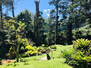 Property grounds - Estancia das Nascentes - Sítio São Francisco (Miguel Pereira)