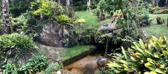 Estancia das Nascentes - Sítio São Francisco