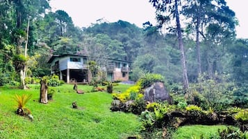 Área da propriedade