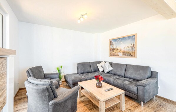 Fernseher, Kamin