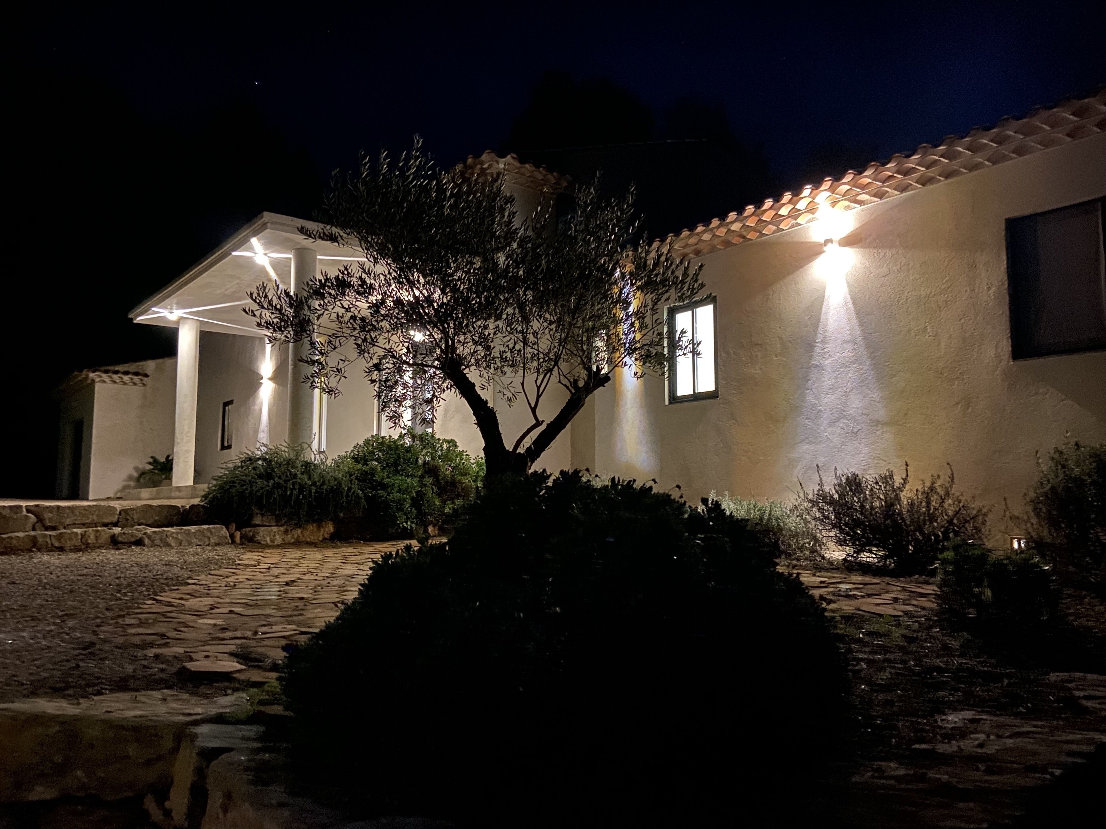 A house with a stone pathway leading to the entrance, a tree in the foreground, and a well-lit exterior at night.