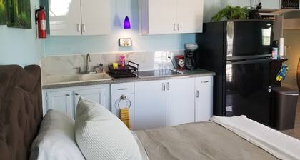 Beautiful Detached Remodeled Cottage Studio/ Downtown Palm Harbor.NON FLOOD Zone
