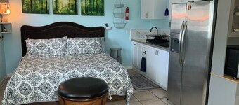 Beautiful Detached Remodeled Cottage Studio/ Downtown Palm Harbor.NON FLOOD Zone