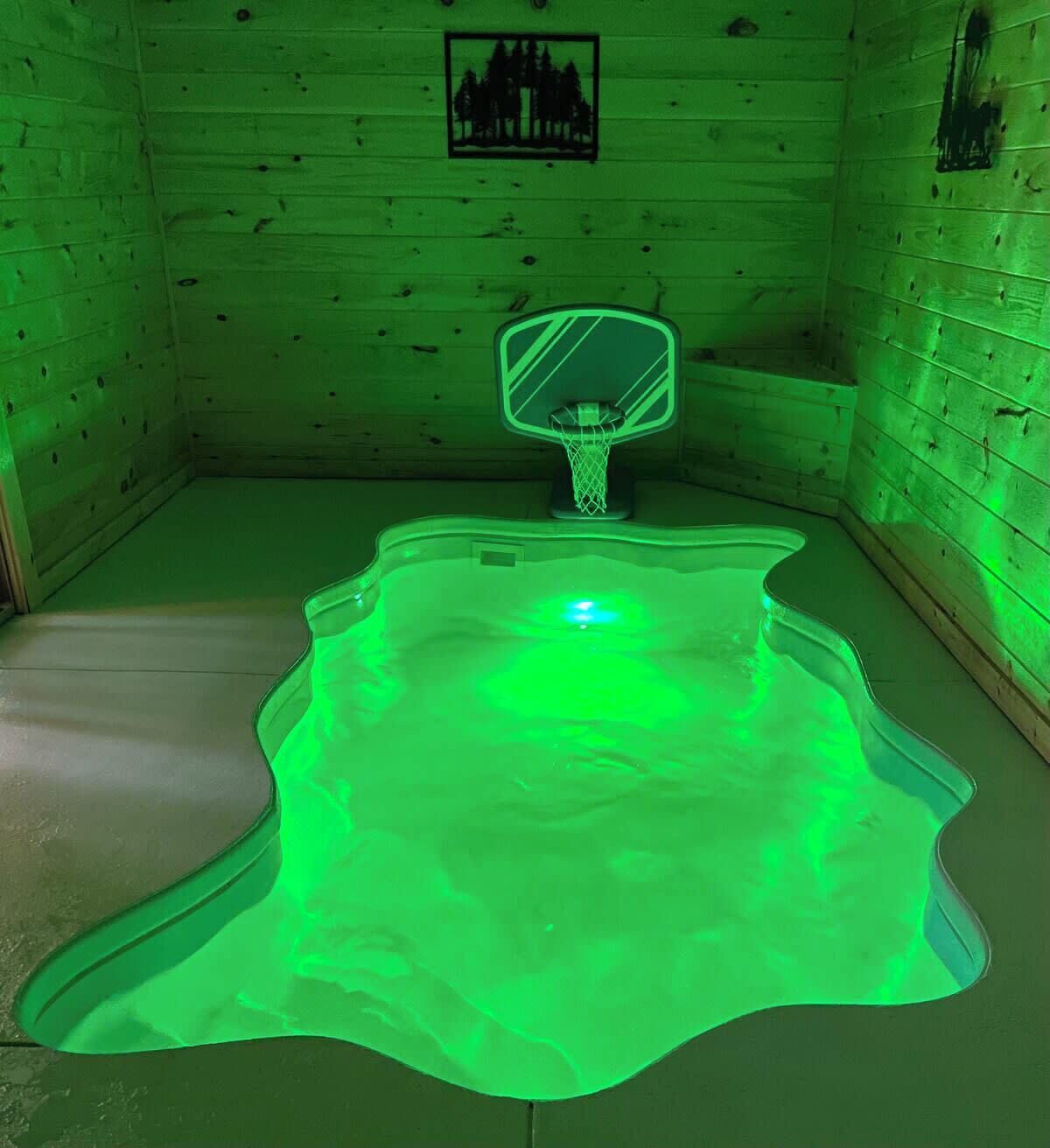 A room with a green-lit pool, a basketball hoop, and wooden walls.