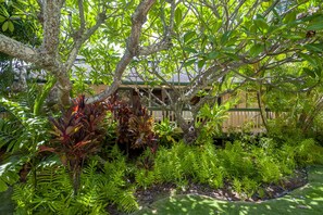 Property grounds - 500 feet to the 🌊, 1000 feet 🏝 and 🐢 (Koloa)