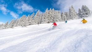 Snow and ski sports - 1 Bedroom Vail Ski Resort Condo at Eagle Point (Vail)