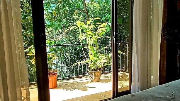 Una stanza con un letto, vista su un balcone con piante e una porta scorrevole in vetro.
