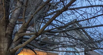 #1 Large sunny room perfect for relaxing