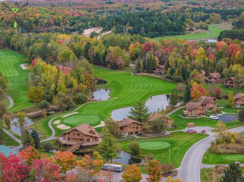 Northern Michigan Retreat- Upscale finishes +Prime location-close to LAKE's