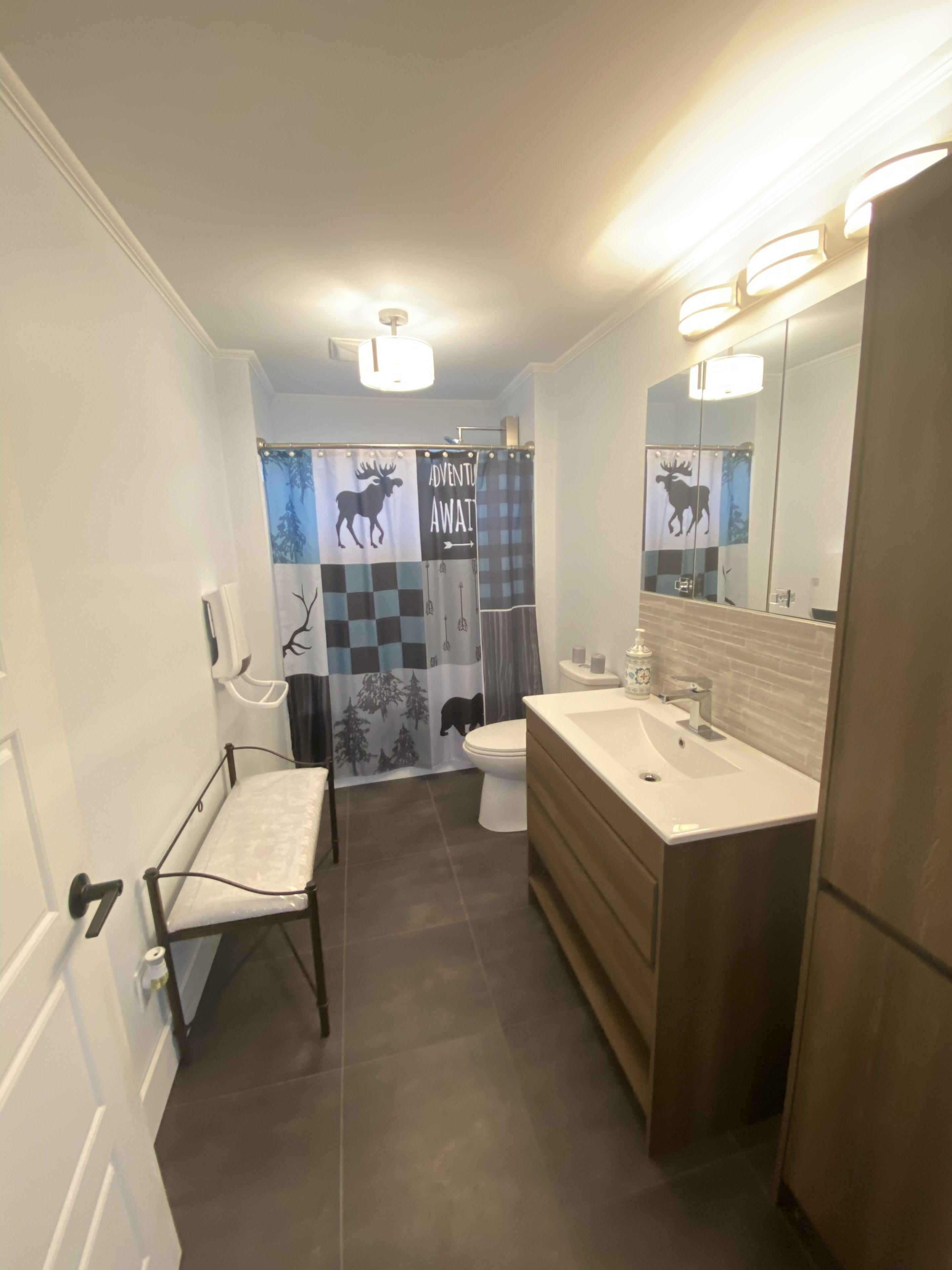 Lakeside cottage in the upper Laurentians