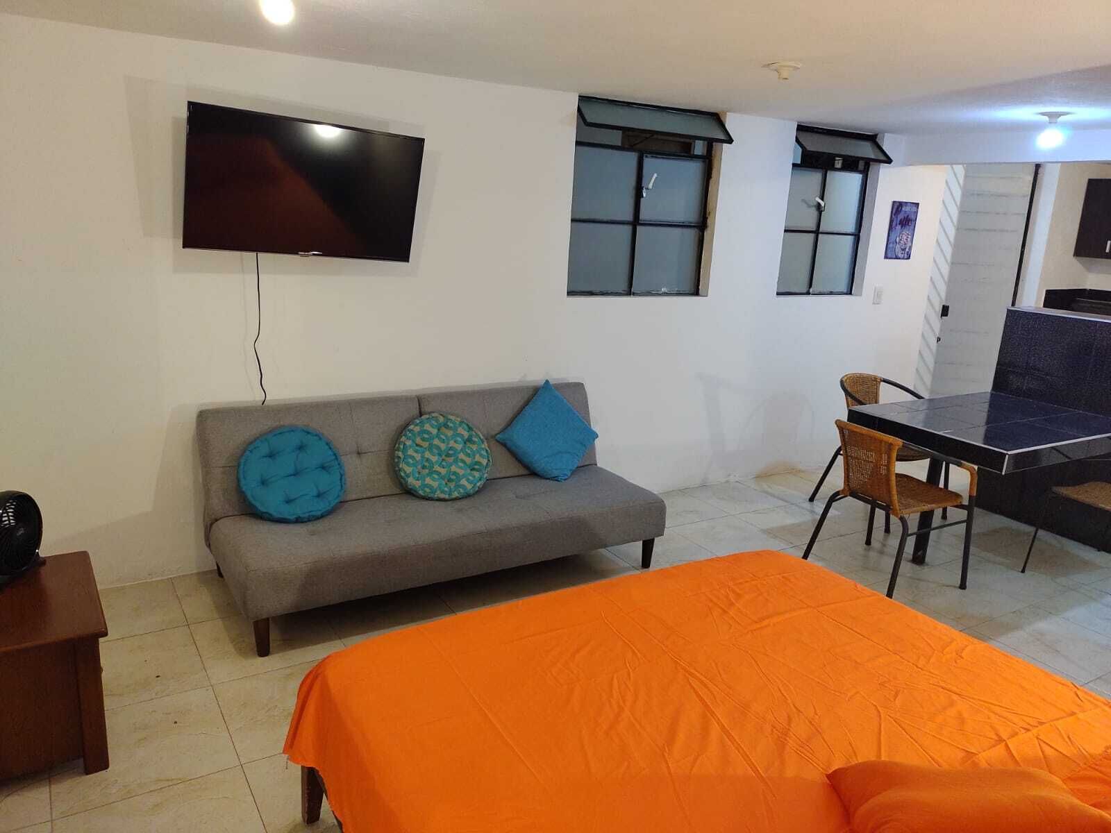 A room with a sofa, a bed, a TV, and a dining table.