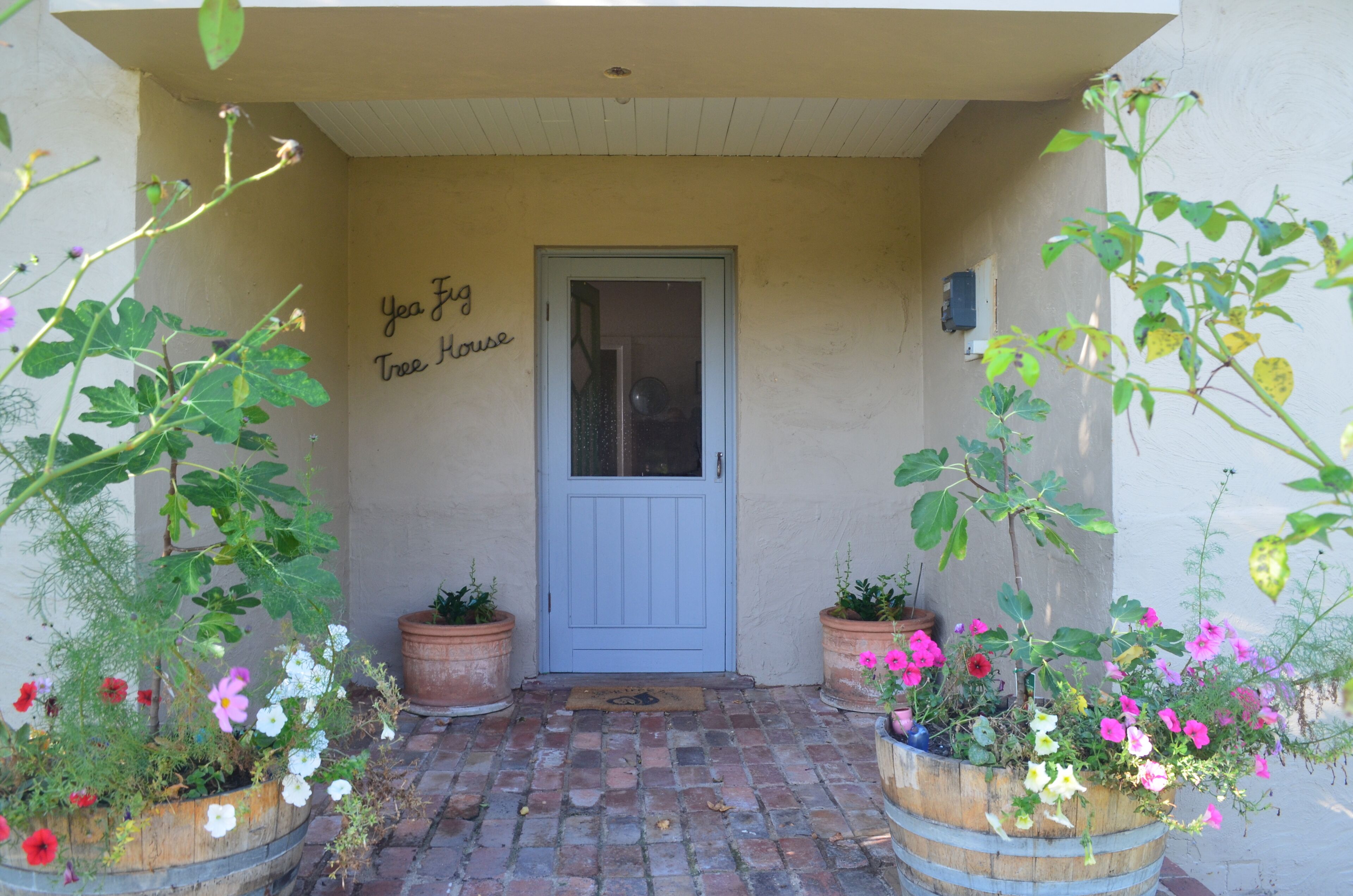 Detalle del exterior