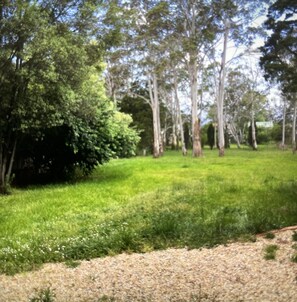 Escape to a serene natural oasis surrounded by lush greenery and towering trees.