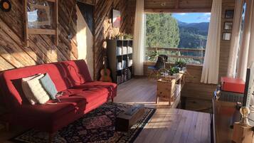 TV, fireplace, books, stereo