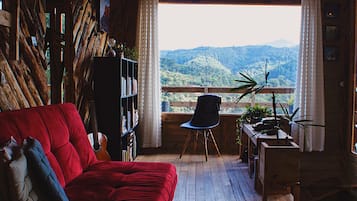 TV, lareira, livros, aparelho de som