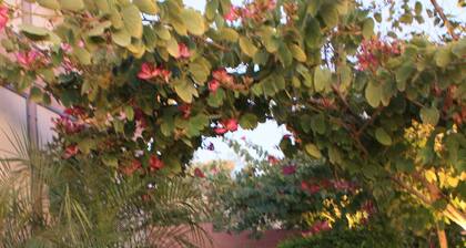 5 star resort 4 bedroom, 3 bath,heated pool/spa, putting green,7 flat screen tvs