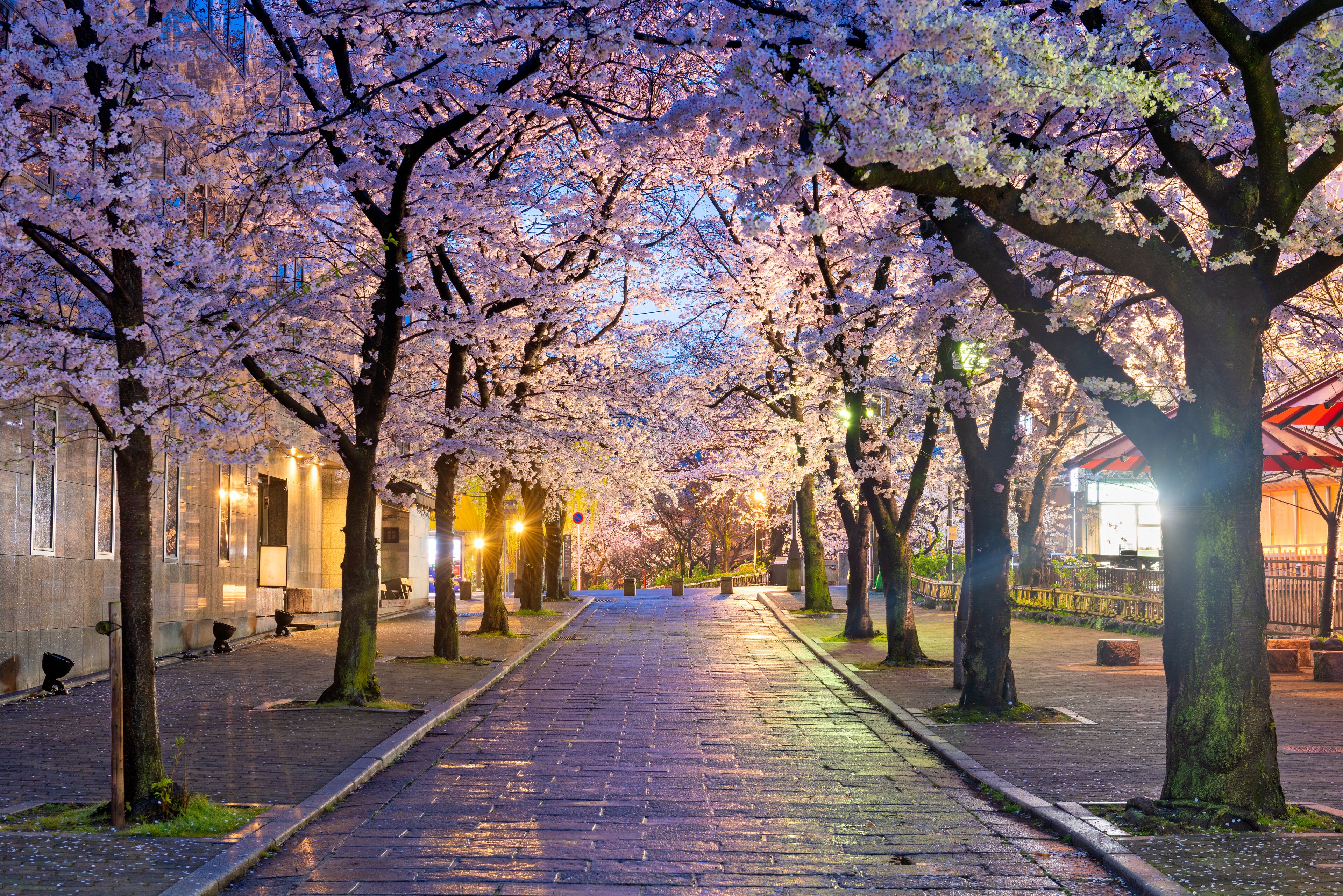 Foto - Genji Kyoto, a Member of Design Hotels