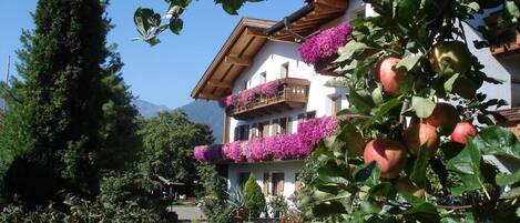 Apartment, 2 Bedrooms, Accessible, Balcony | Exterior