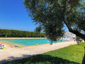 A swimming pool with clear blue water, surrounded by a grassy area and a hedge. - Casa Italia Residence Torre Santo Stefano in Otranto 3 Places (Otranto)