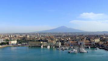 House, 1 Bedroom, City View | View from property