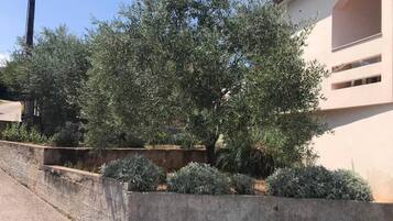 Apartment, 2 Bedrooms, Smoking, Terrace | Property grounds