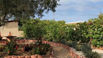 Apartment, 1 Bedroom, Smoking, Balcony | Garden