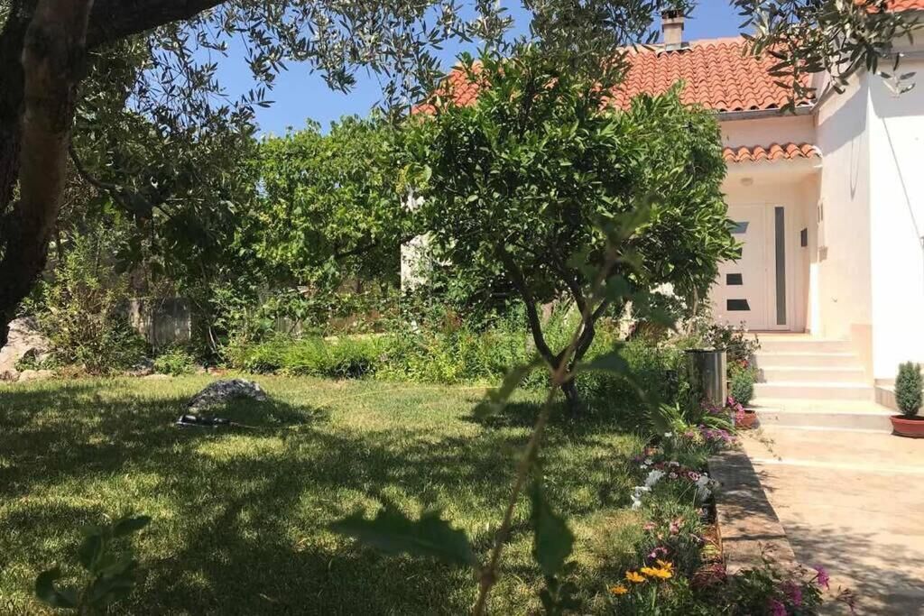 Appartement, 1 chambre, fumeurs, balcon | Enceinte de l’hébergement