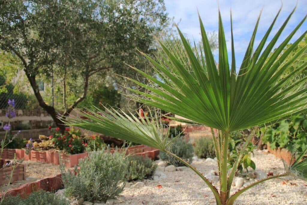 Apartment, 1 Bedroom, Smoking, Balcony | Property grounds