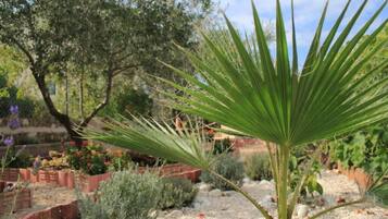 Apartment, 1 Bedroom, Smoking, Balcony | Property grounds