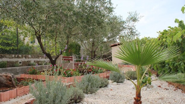 Un jardin avec différentes espèces de plantes, un palmier et un mur de pierre.