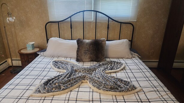 Una cama con una manta en forma de estrella de mar, dos almohadas y una mesita de noche con una caja de pañuelos.