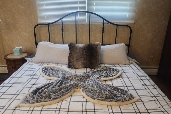 4 dormitoris, escriptori, planxa i posts de planxar i wifi gratuïta