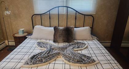 Specious Quiet 3b2b single family home with fish pond and Netflix more
