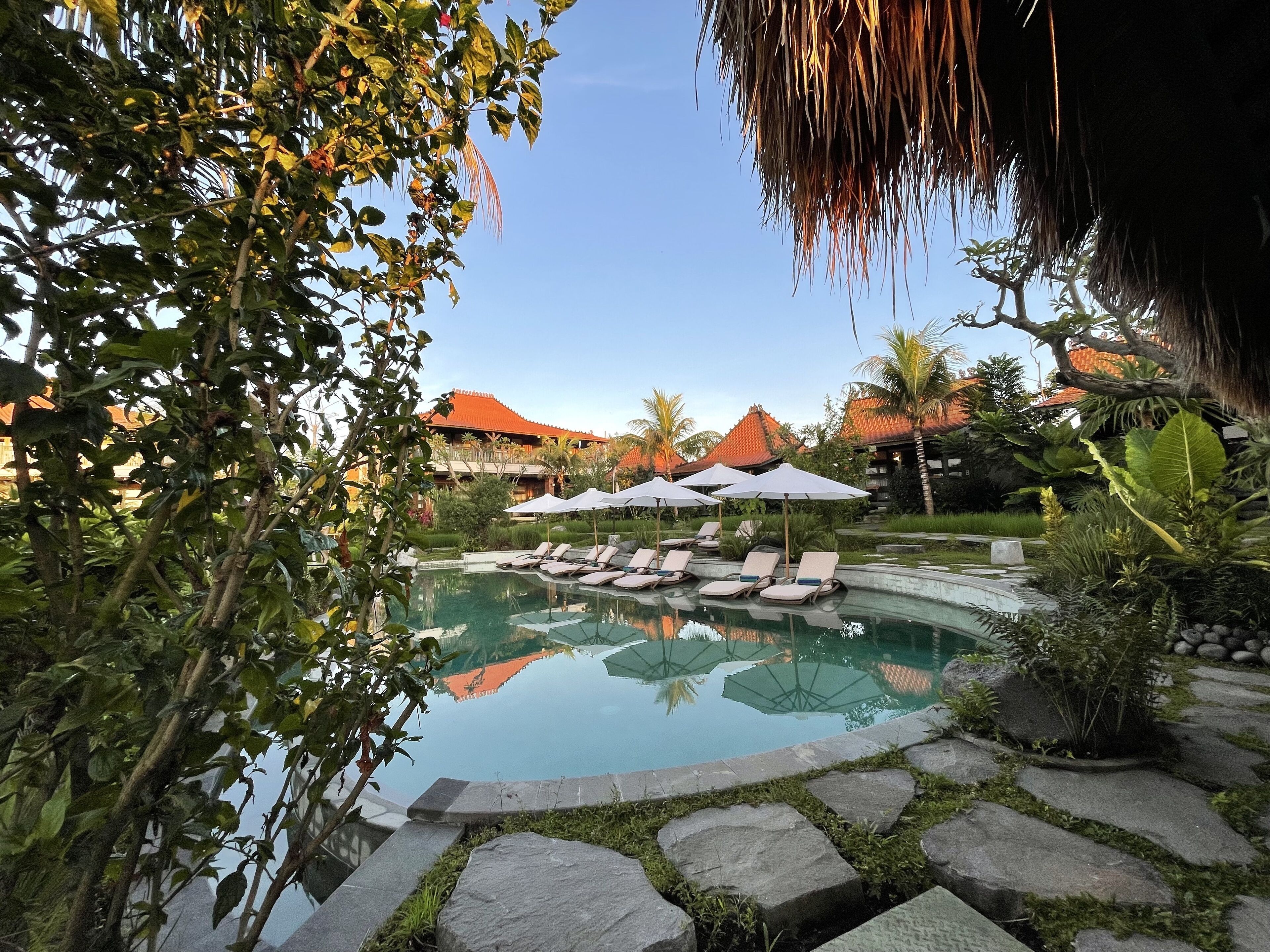 Un espace piscine agrémenté de chaises longues et de parasols, entouré de plantes tropicales et de bâtiments aux toits rouges.