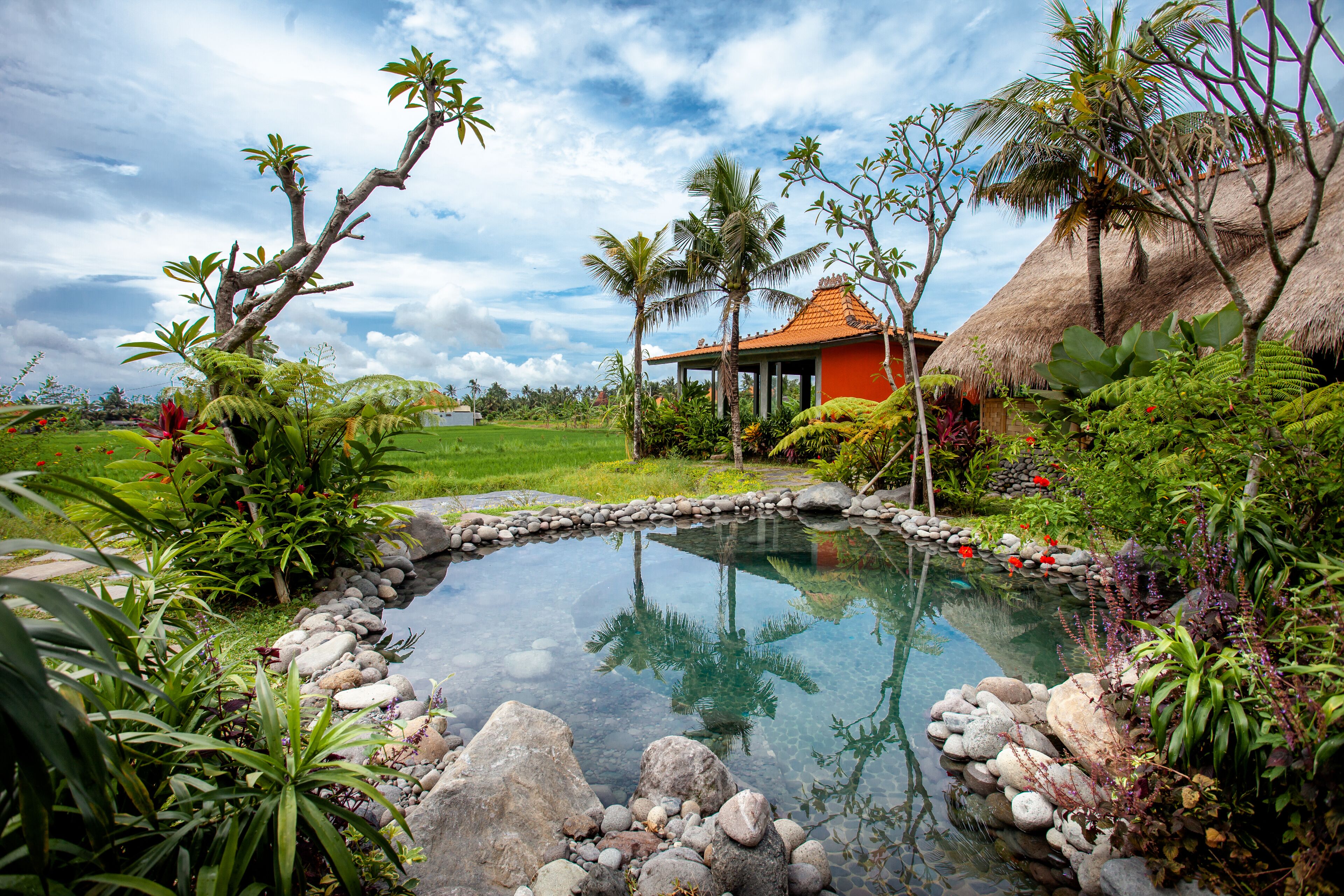 2 outdoor pools, pool umbrellas, pool loungers
